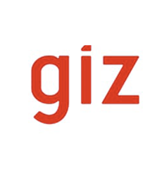 GIZ logo png - DANA CREATIVE AGENCY